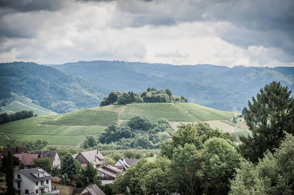 Landhotel Rebstock Oberkirch  Luaran gambar