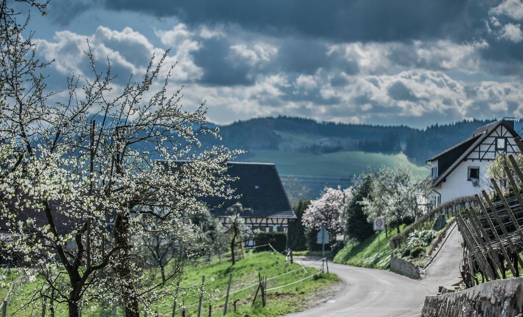 Landhotel Rebstock Oberkirch  Luaran gambar